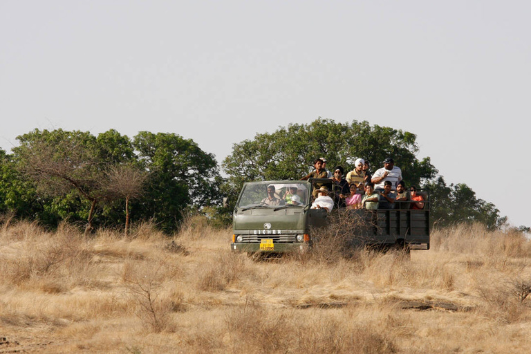 从斋浦尔出发：Ranthambore 出租车之旅从斋浦尔出发：乘坐出租车游览兰特汉博尔