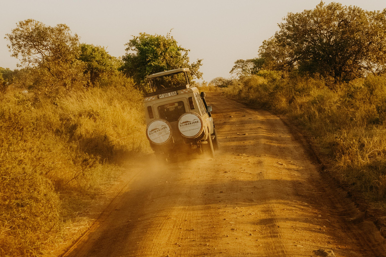 Arusha: Day Trip to Arusha National Park with Lunch.