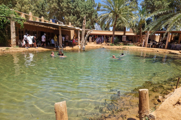 From Djerba: Oasis, Sunset in the Desert Dunes & Dinner in a 4x4 From Djerba: Oasis, sunset in the desert dunes & dinner in a 4x4