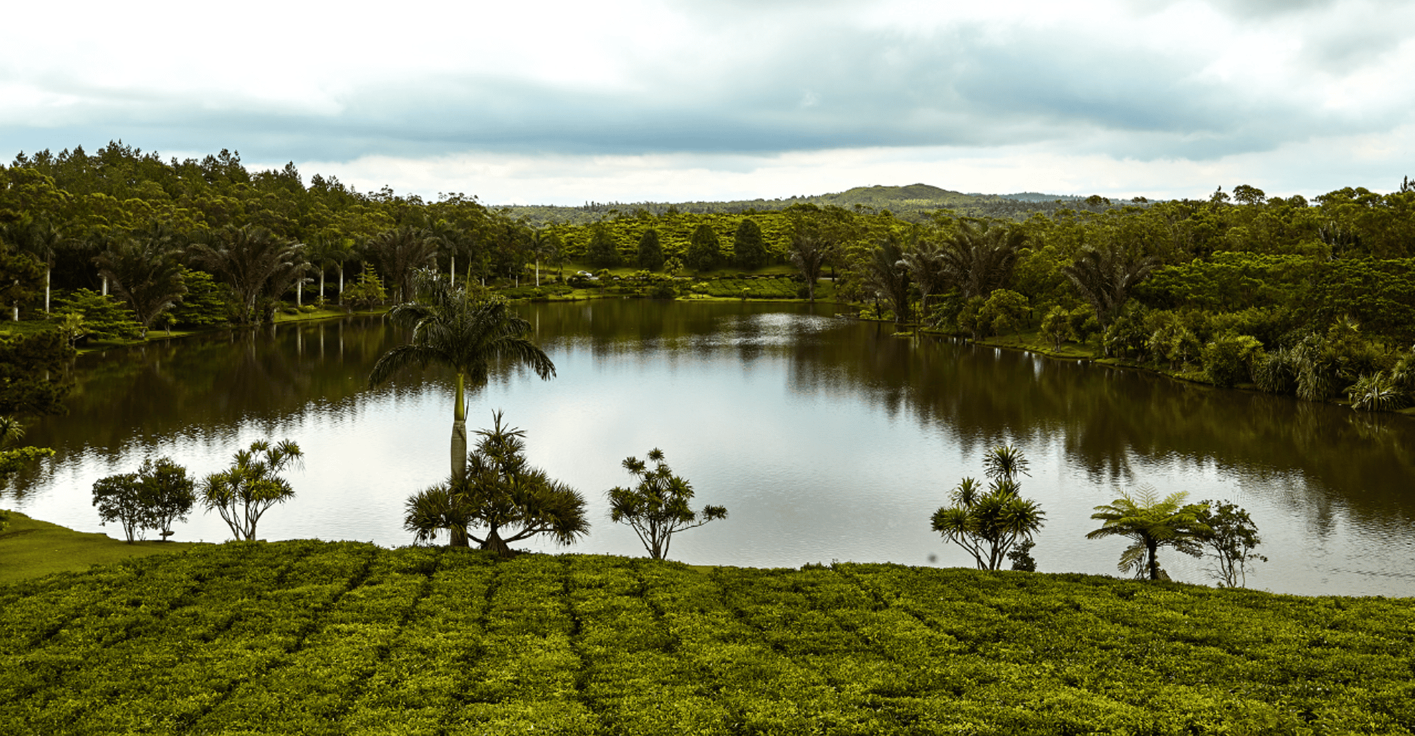 Tea Route - Dormant Volcano, Lakes, Tea Tasting & Lunch - Housity