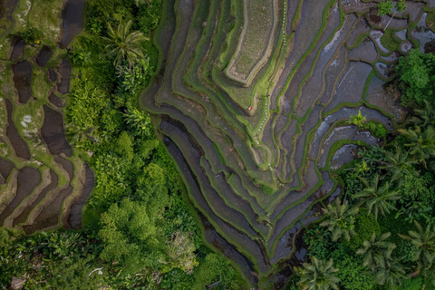 Wanderlust birthday photo and video with drone and Editing Photo and video with drone (Without Flower Pool & Pool)