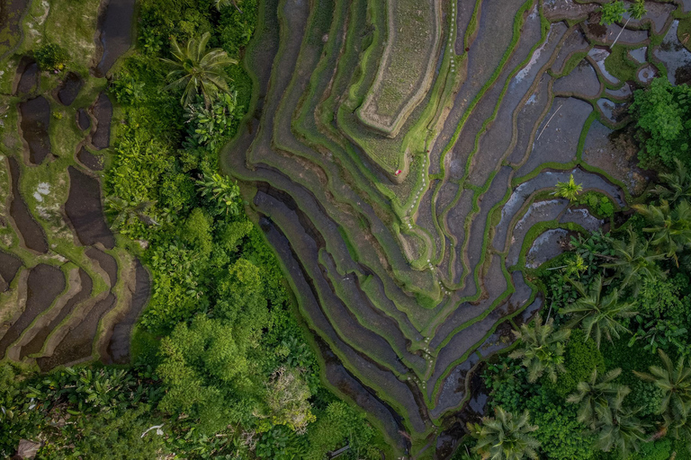 Wanderlust birthday photo and video with drone and Editing Photo and video with drone (Without Flower Pool & Pool)