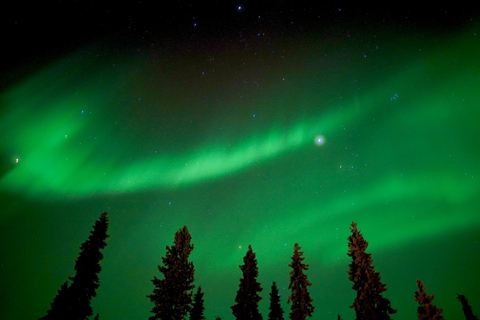 Rovaniemi Northern Lights – The Real Guaranteed Hunt