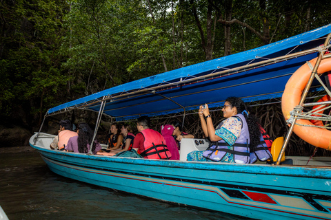 Langkawi:6 Hours Mangrove Night Safari with Pick Up & Dinner