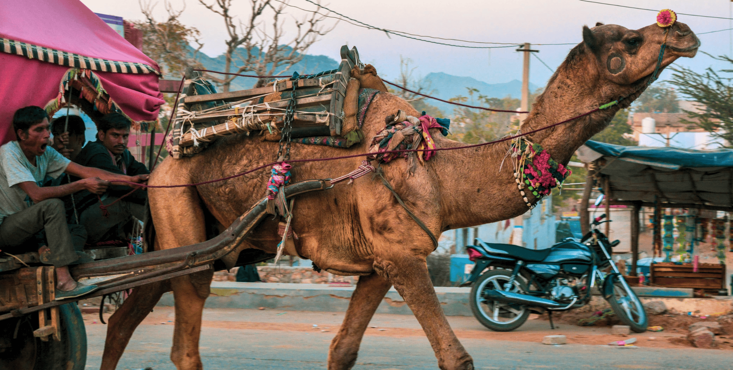 Von Jaipur aus: Ajmer Pushkar Private Tour mit Taxi und Guide