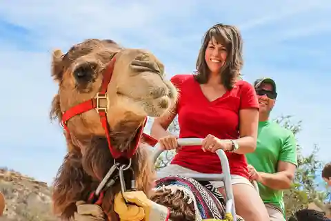 Agadir/Taghazout: Passeios de camelo com chá e transferes