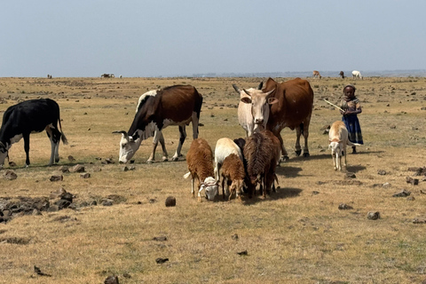 Addis Abeba: Tagestour in den Menagesha Suba Forest mit Guide