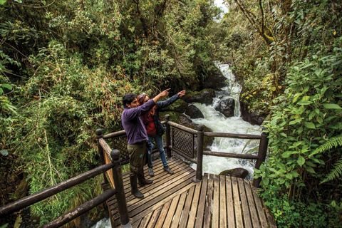 Termas de Papallacta: Excursión de un día