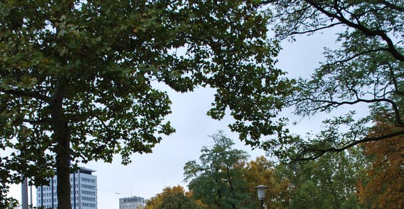 Mannheim: Segway-Tour entlang des Neckars