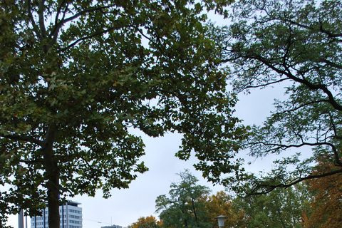 Mannheim: Segway Tour wzdłuż rzeki Neckar