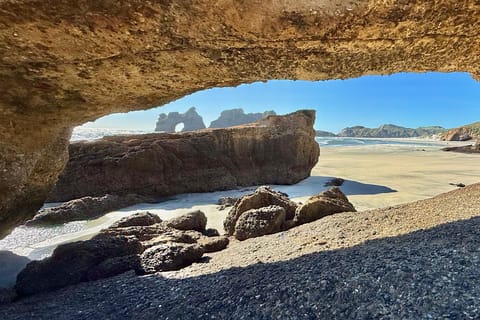 From Nelson: Wharariki Beach Adventure + Highlights on Route - Image 2