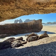 From Nelson: Wharariki Beach Adventure + Highlights on Route