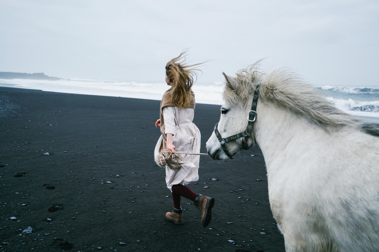 Homer: Guided Beach Horseback Ride with Wildlife Views