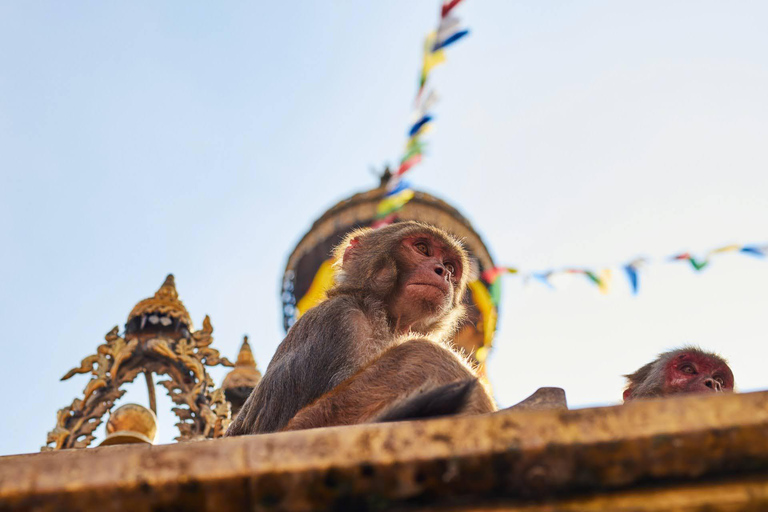 Absolute Tour of Kathmandu: 2 Days, Zero Missed Heritage
