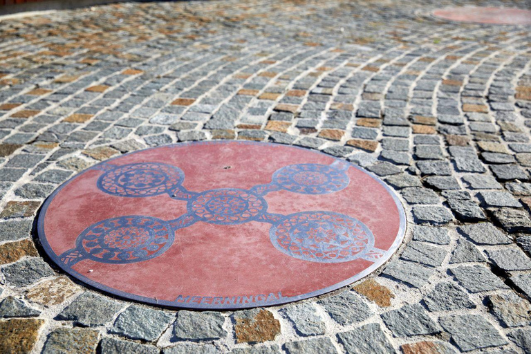 Albany: tour guiado a pie con cata de vino