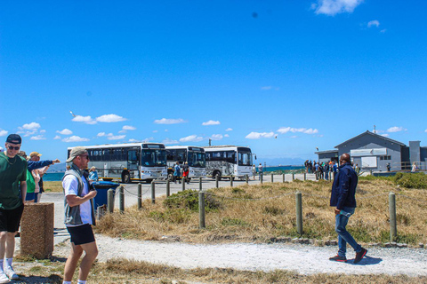 Cape Town:Robben Island Guided Tour, Skip the Ticketing Line