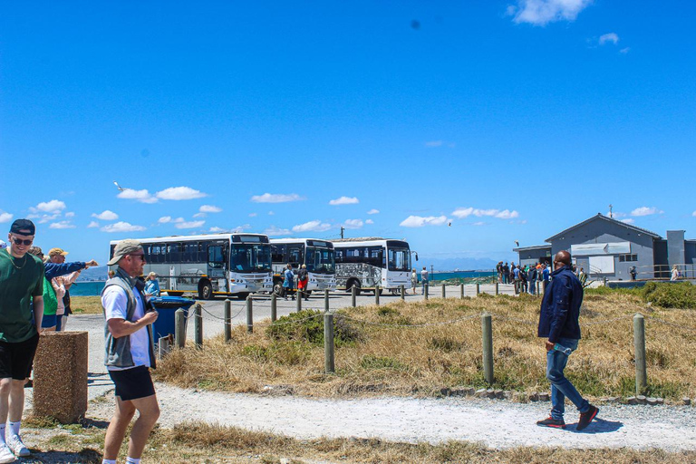 Cape Town:Robben Island Guided Tour, Skip the Ticketing LineKaapstad: Robbeneiland rondleiding, voorrangsticket