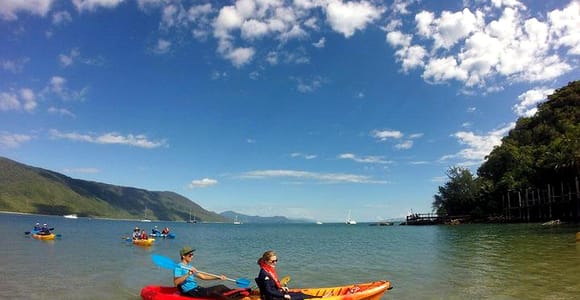 Palm Cove: Guided Half-Day Turtle Kayak Tour