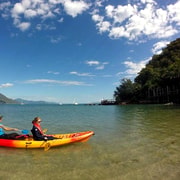 Palm Cove: Guided Half-Day Turtle Kayak Tour