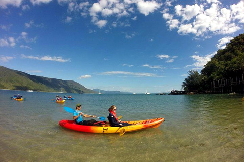 Palm Cove: Guided Half Day Turtle Kayak Tour