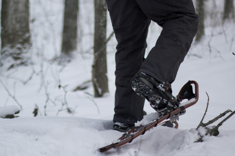 Luzern: Schneeschuhwanderung zum Glaubenberg Langis