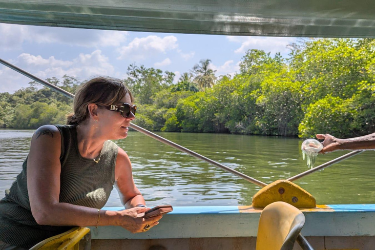 Bentota River Safari: Mangrove Maze & Wildlife Encounter