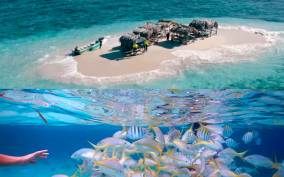Cayo Arena: Paradise Island & Magroves Tour Private