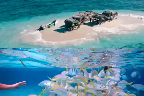 Cayo Arena: Paradise Island & Magroves Tour Private