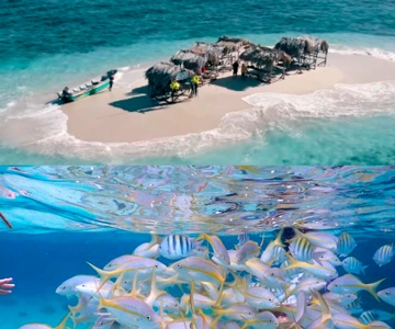 Cayo Arena: Paradise Island & Magroves Tour Private