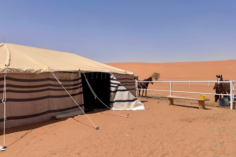 Riyadh: Authentic Arabian Experience Desert Camp Adventure