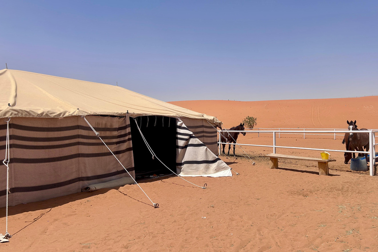 Riyadh: Authentic Arabian Experience Desert Camp Adventure
