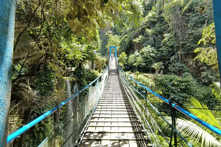 Cebu : excursion d&#039;une journée à Inambakan, Kawasan et aux chutes de Mantayupan