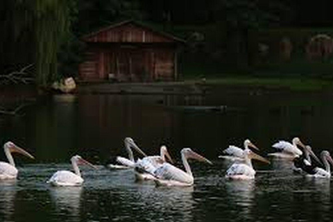 From Batumi: Georgian Amazon & Kolkheti Park Tour