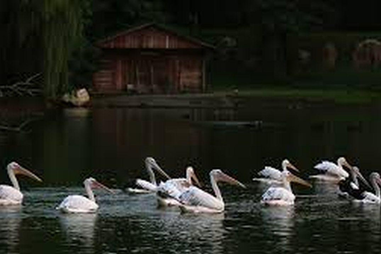 From Batumi: Georgian Amazon & Kolkheti Park Tour