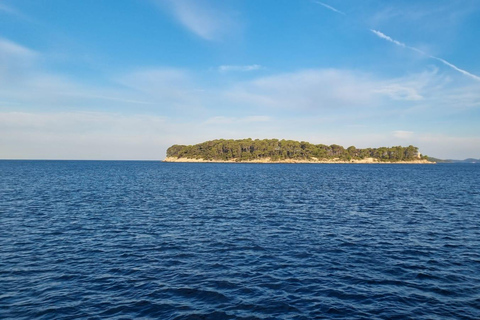 من دوبروفنيك: جولة بالقارب من دوبروفنيك: جولة على متن قارب &quot;هوب أون هوب أوف&quot; في جزر إيلافيتي