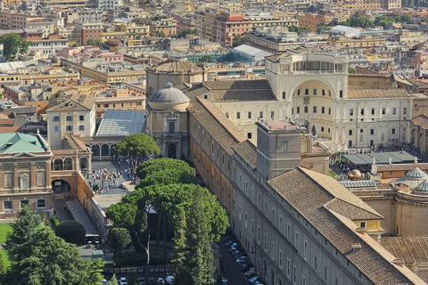 Roma: Visita a la Basílica de San Pedro y Tumbas Papales con subida a la Cúpula