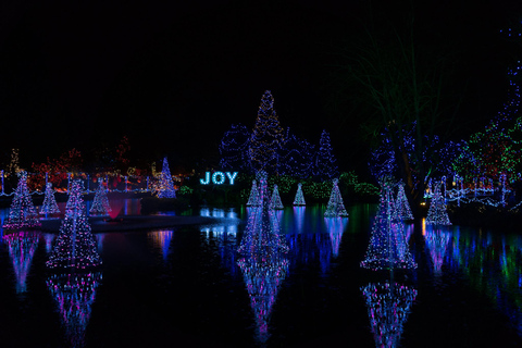 فانكوفر: جولة أضواء العطلات في المدينة وحديقة فاندوسن
