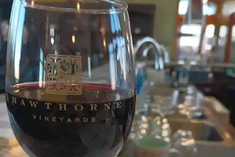 NON BUS VIP Red Wine Lovers Old Mission Traverse Wine Tour