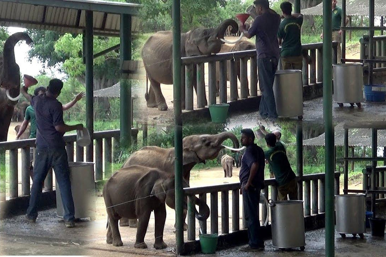 Sri Lanka: Viagem de 12 dias de aventura panorâmica