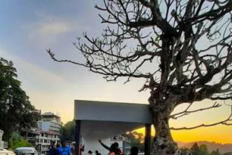 Kandy City Tour: Private Guided Tour of the City by Tuk-Tuk