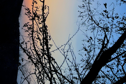 Wędrówka/trekking/spacer pośród natury z widokiem na wschód słońca, obserwacją ptaków i widokiem na miastoWędrówka/trekking/spacer na łonie natury z widokiem na wschód