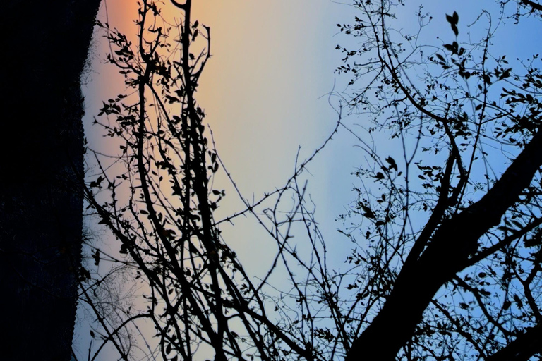 Wędrówka/trekking/spacer pośród natury z widokiem na wschód słońca, obserwacją ptaków i widokiem na miastoWędrówka/trekking/spacer na łonie natury z widokiem na wschód