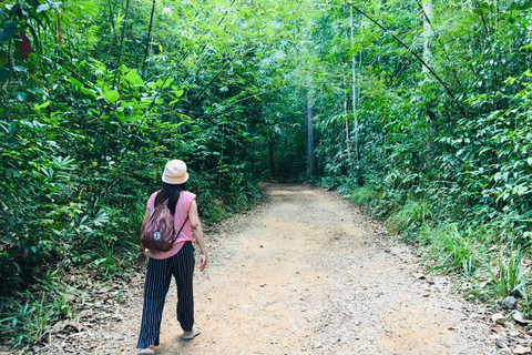 Krabi: Emerald Pool und Hot Springs Wasserfall Halbtagestour