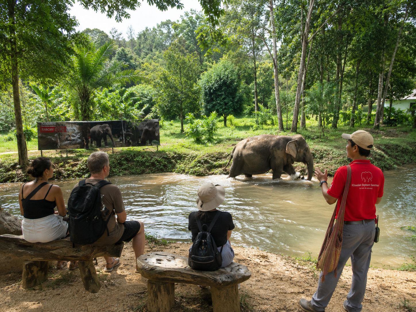 Khao Lak: Beobachtungstour im Elefanten-Schutzzentrum