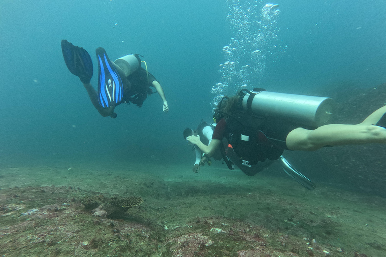 Mirissa: Scuba Diving Experience & Refreshments for Beginner