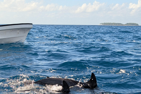 ZANZIBAR: Mnemba Dolphin & Salaam Cave+Pick up & Entry Fee. Private Tour with Hotel Pick up and Drop off & Lunch