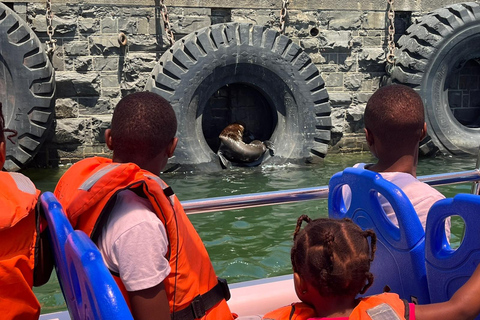 Kapstaden: hamnkryssningKryssning i hamnen vid V&amp;A Waterfront