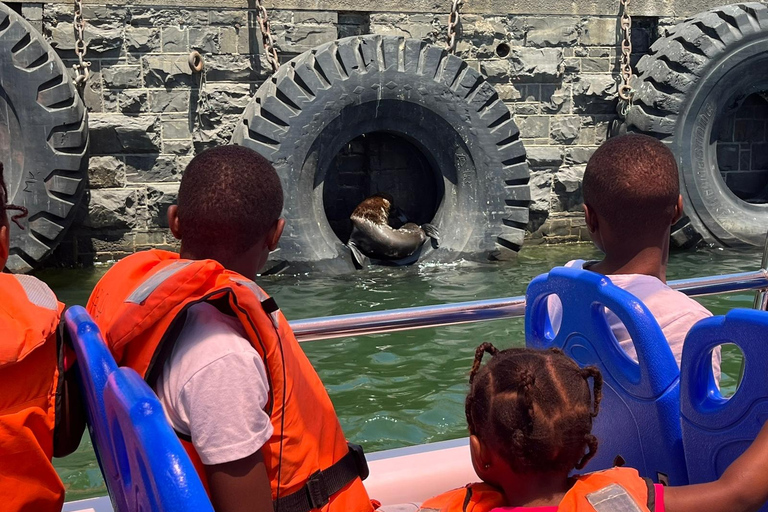 Kapstaden: hamnkryssningKryssning i hamnen vid V&amp;A Waterfront