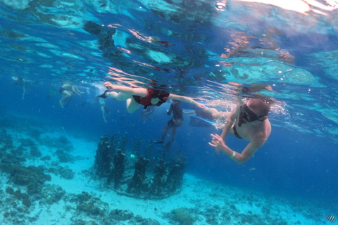 Gili Islands: Snorkeling Sharing Group Tour with Photos
