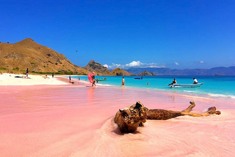 Ultimat Labuan Bajo-upplevelse: 6 fantastiska destinationer